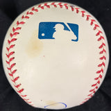 Jerome Williams signed baseball PSA/DNA San Francisco Giants autographed