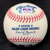 LUIS GARCIA signed baseball PSA/DNA Washington Nationals Full Name autographed