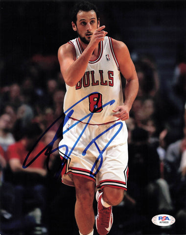 Marco Belinelli signed 8x10 photo PSA/DNA Chicago Bulls Autographed