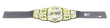 Matt Hardy signed Championship Belt PSA/DNA AEW NXT Autographed Wrestling