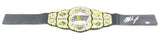 Matt Hardy signed Championship Belt PSA/DNA AEW NXT Autographed Wrestling