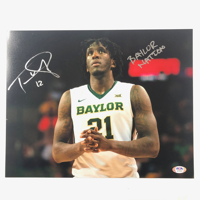 Taurean Prince signed 11x14 photo PSA/DNA Baylor Autographed