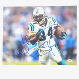 DeAngelo Williams signed 11x14 PSA/DNA Carolina Panthers autographed