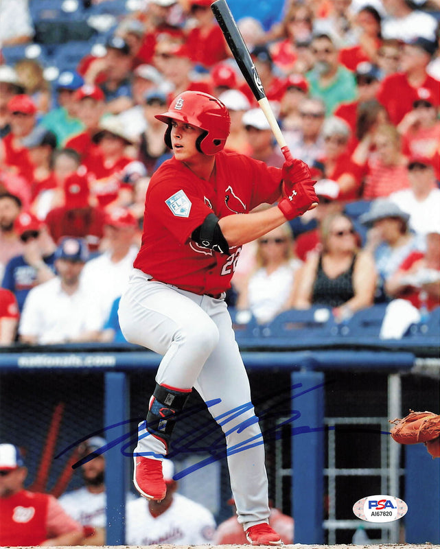 Nolan Gorman signed 8x10 photo PSA/DNA St. Louis Cardinals Autographed
