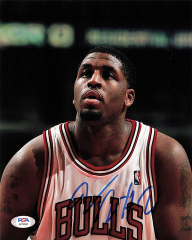 Mike Sweetney signed 8x10 photo PSA/DNA Chicago Bulls Autographed