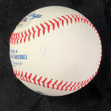 Marwin Gonzalez signed baseball PSA/DNA Houston Astros autographed