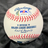 MAGNEURIS SIERRA signed baseball PSA/DNA Miami Marlins autographed