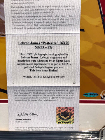 Lebron James Framed Signed Jersey PSA/DNA Autographed Signed 