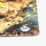 BRANDON FLOWERS signed The Killers' Sawdust LP Vinyl PSA/DNA Album autographed