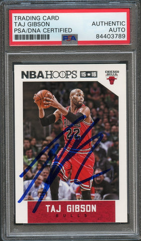 2015-16 NBA Hoops #10 Taj Gibson Signed Card AUTO PSA Slabbed Bulls