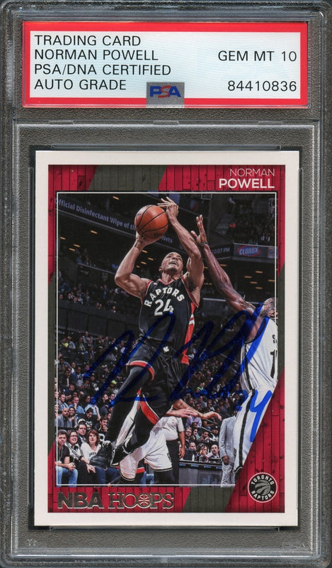 2016-17 NBA Hoops #228 Norman Powell Signed Card AUTO 10 PSA Slabbed Raptors